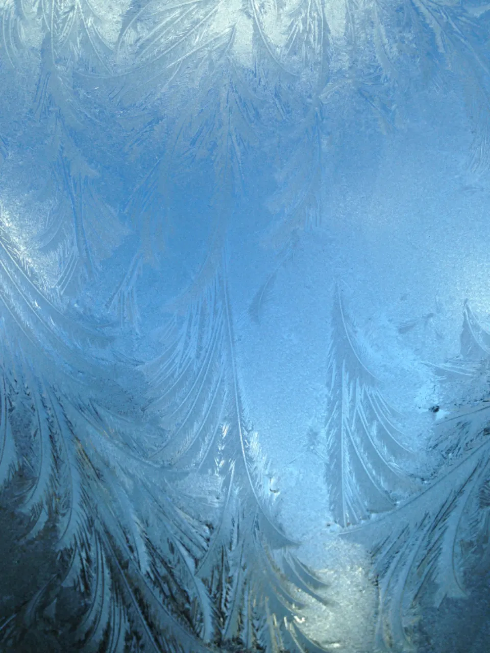 Blue frost texture