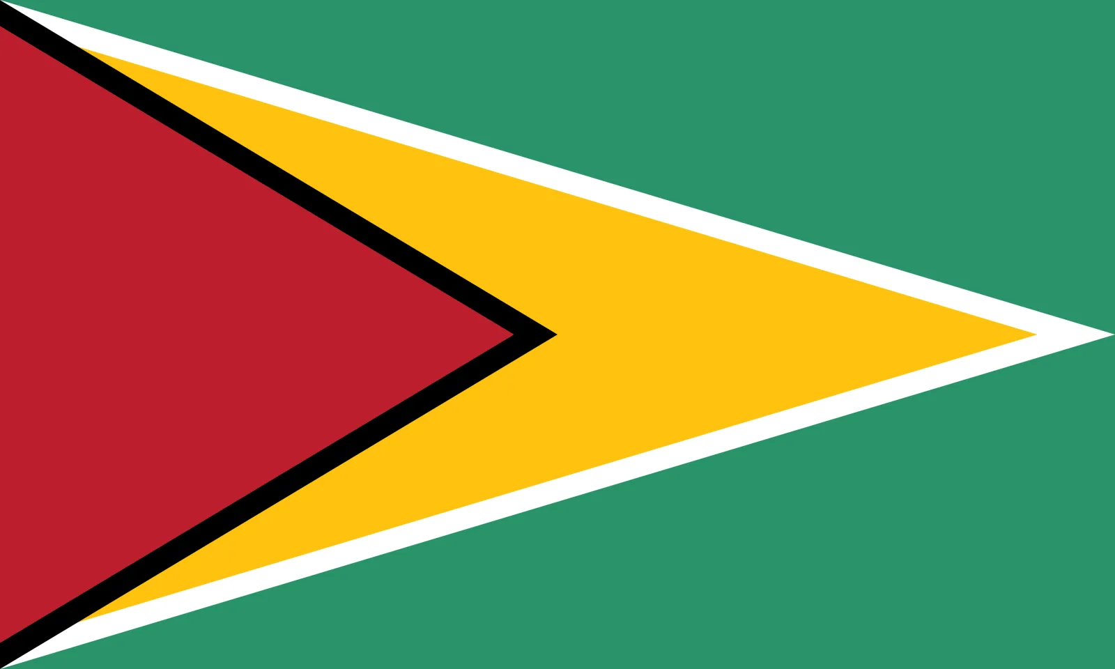 Flag of Guyana
