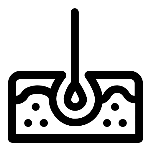 Skin layer icon