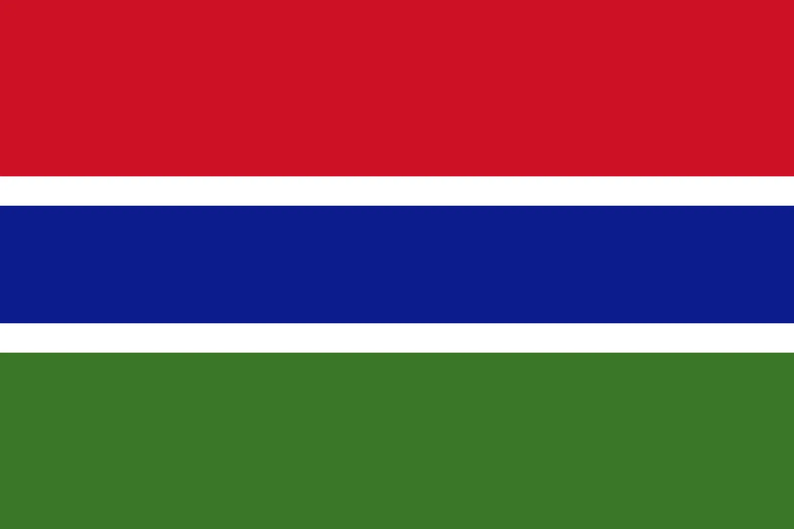 Flag of the Gambia