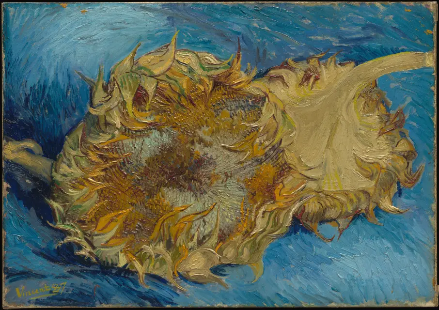 Sunflowers (Van Gogh, 1887)