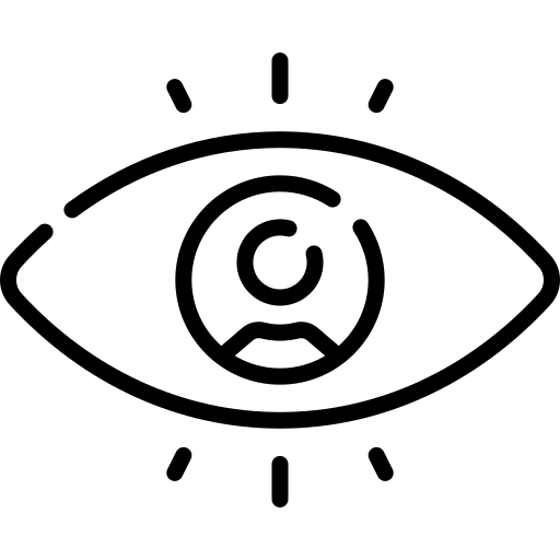 Audience view icon