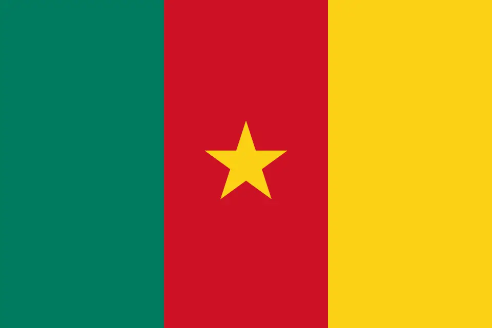 Flag of Cameroon