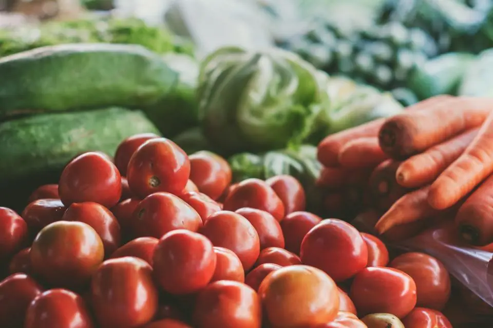 Fresh carrots, lettuce and tomatoes